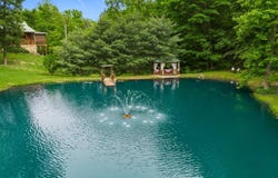 3842 Manley Hollow Rd, Vanceburg, KY 41179
