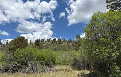 311 E Arbol Park Drive, Pagosa Springs, CO 81147