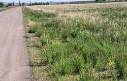 271 N. N 2340 E, St Anthony, ID 83445