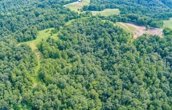 Tract #16 Willis Creek, Albany, KY 42602
