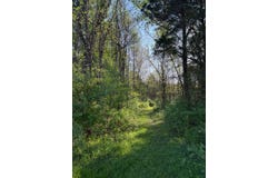 N State Road 101, Milan, IN 47031