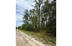 NE 123rd Ave, Williston, FL 32696