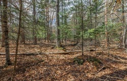 Off NORWAY PINE DR, Eagle River, WI 54521