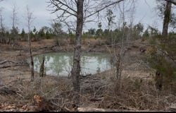 Bright Prospect Rd, Marianna, FL 32448