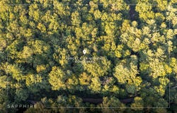 5A Grimshawe Boulevard lot: 5A, Sapphire, NC 28774