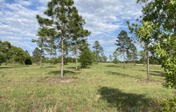 16.12 Acre Bethcar Church Road, Wagener, SC 29164