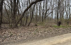 530 Rembert Court, Benton Harbor, MI 49022