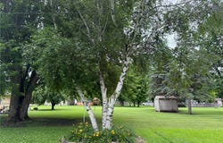 508 4th Street NW, New Richland, MN 56072
