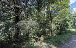 Lot 22 Larue Lane, Ellijay, GA 30540