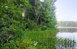 6690 N Rocky Point Road, Mercer, WI 54547