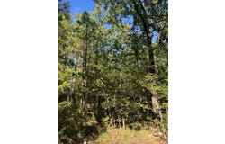 Tract 6 SE 1083 Road Ave, Red Oak, OK 74563