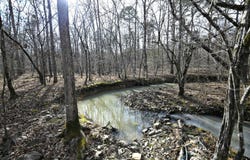 110 Moon Beam Lane, Mena, AR 71953