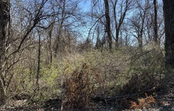 836 Fairmount Avenue, Signal Mountain, TN 37377