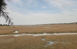 1806 Long Bend Drive, Seabrook Island, SC 29455
