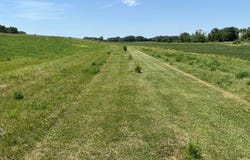 000 Industrial Drive, Ida Grove, IA 51445