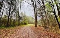 10 Cross St, Abbeville, SC 29620