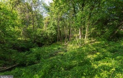 0 SHERIDAN, JEFFERSONVILLE, PA 19403