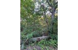 7101 FM-2415, Alvarado, TX 76009