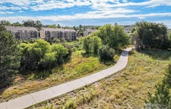 1175 S Gilbert St, Castle Rock, CO 80104