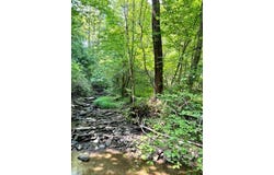Coperas Cave Branch, Beattyville, KY 41311