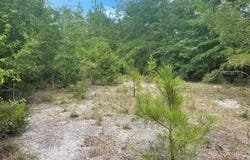 TBD Rivers Hill Road, Varnville, SC 29944