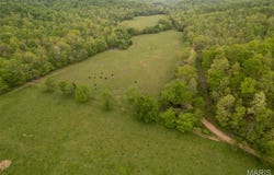 0 CR 352, Piedmont, MO 63957