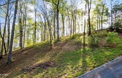Lot 39 Apple Tree Drive, Clinton, TN 37716