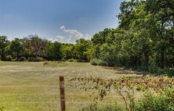 2918 Sunset Lane, Dalworthington Gardens, TX 76016