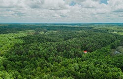 2963 Buttermilk Rd., St. Charles, KY 42453