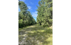 0 Herrings Chapel Road, Rocky Point, NC 28457
