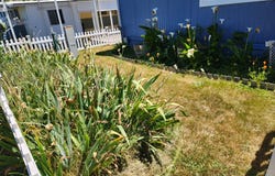16131 W HOFFELDT LN, Brookings, OR 97415