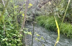 4439 Spring Rd, Basin, WY 82410