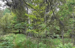 713 GROVE STREET, MARQUETTE, MI 49855