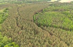 MOORE Rd, Red Banks, MS 38635
