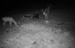 0 Davis Creek Rd., John Day, OR 97845