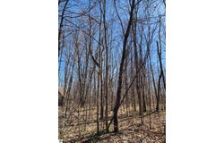 TBD Cliffmont Drive, Mancelona, MI 49659