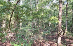 FIRETOWER ROAD, CUSSETA, GA 31805