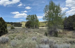 0 Porky Gulch, Chama, NM 87520