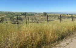 10011 Tesla Road, LIVERMORE, 94550