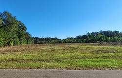 R065836-8.03 AC Highway 92, Spurger, TX 77660