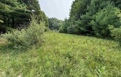Lot #4 E Bellinger Road, Cedar, MI 49621