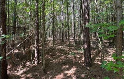 0 Highway 140 Tract D NW, Adairsville, GA 30103