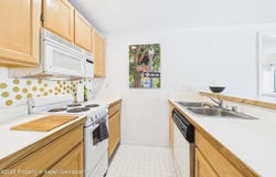 119 E Cooper Avenue, Aspen, CO 81611