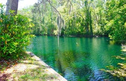 1873 MAZO Manor, LUTZ, FL 33558