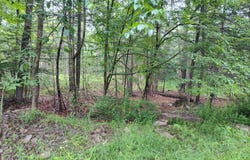 Lot 109 (AKA) GIBRALTER Road, Newfoundland, PA 18445