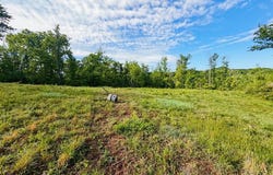 Blue Sulphur Road, Ona, WV 25545
