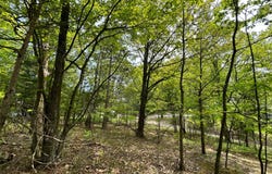 633 Peninsula Trl, Traverse City, MI 49696