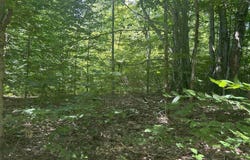 Parcel 9 Trail 33 Lane, Mancelona, MI 49659