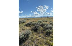 Joanie Dr, Wisdom, MT 59761