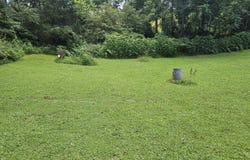 1564 Locust Grove Rd Rd, New Tazewell, TN 37825